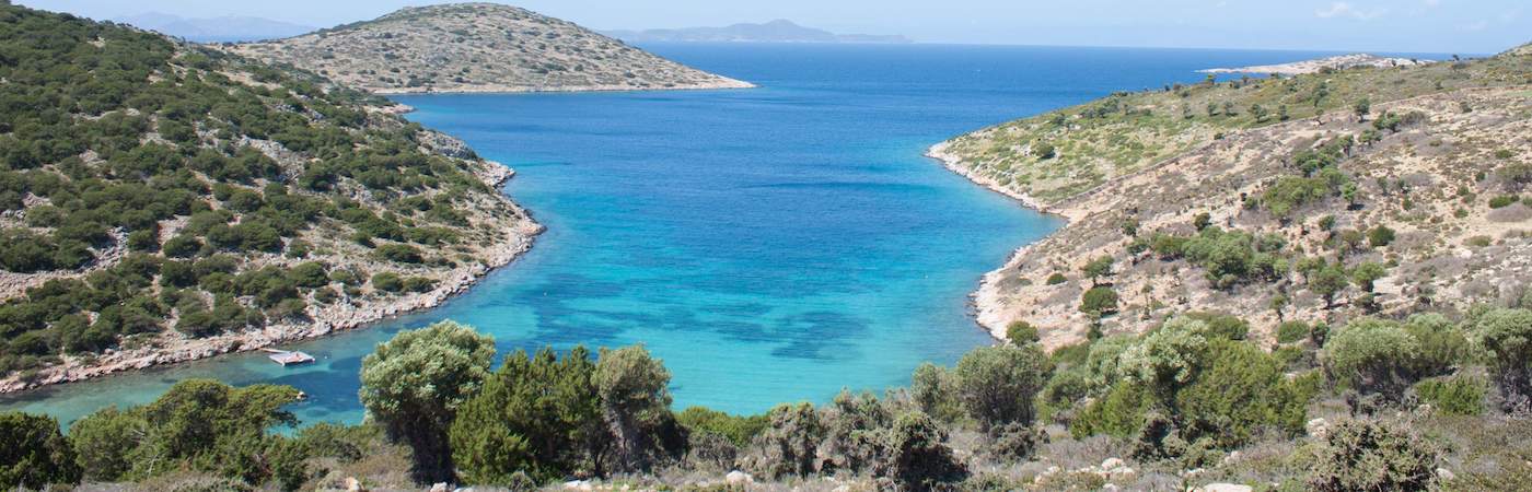 The Dolphin Sanctuary